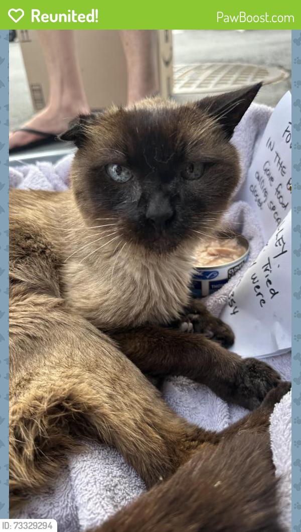 Reunited Unknown Cat last seen Lonsdale and 20th, North Vancouver, BC V7M 0H4