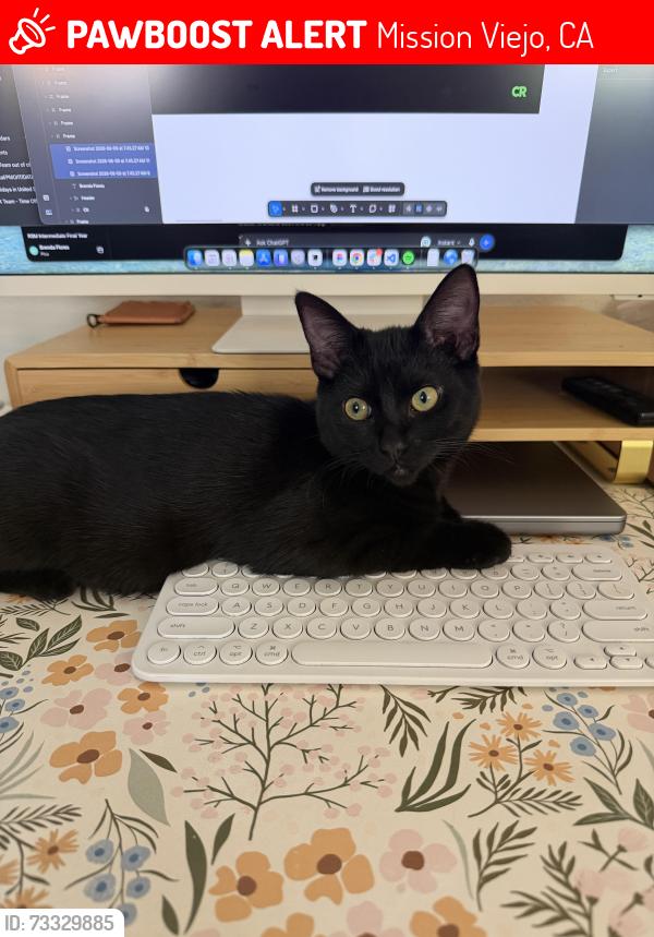 Lost Male Cat last seen Los Alisos and Santa Margarita Parkway, Mission Viejo, CA 92692