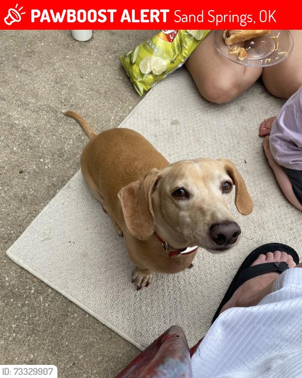 Lost Male Dog last seen 177th and Hwy 412, Sand Springs, OK 74063