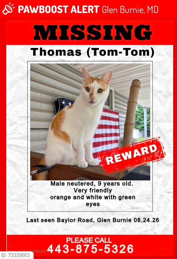 Lost Male Cat last seen Baylor Rd, Glen Burnie, MD 21061