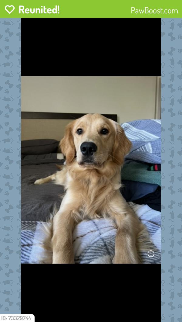 Reunited Male Dog last seen Solana apmts, Temecula, CA 92591