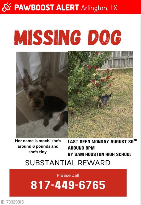 Lost Female Dog last seen Near castle rd arlington tx 76914, Arlington, TX 76014