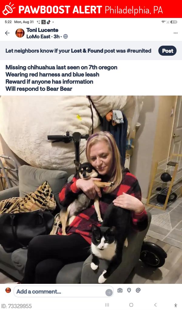 Lost Male Dog last seen Sartain st marconi plaza oregon steaks, Philadelphia, PA 19148