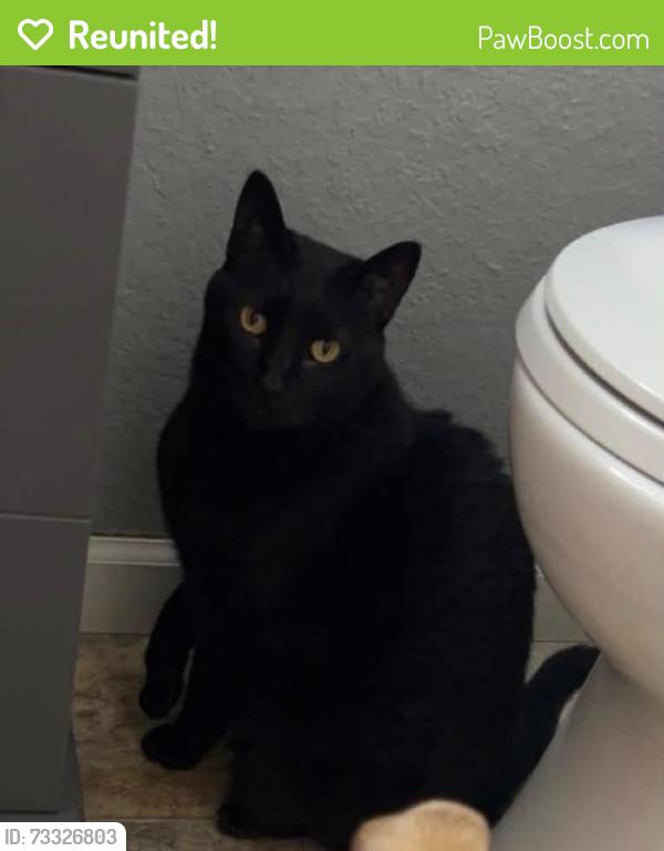 Reunited Male Cat last seen Monroe Park, Riverton, WY 82501
