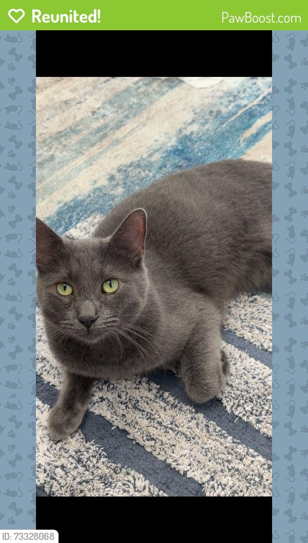 Reunited Male Cat last seen Via Del Rio & Avenida Del Vista, Corona, CA 92882