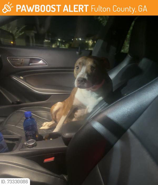 Found/Stray Female Dog last seen Right in front of Riggins Ridge on Feldwood rd, Fulton County, GA 30349