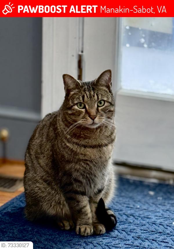 Lost Male Cat last seen Manakin road, Manakin-Sabot, VA 23103