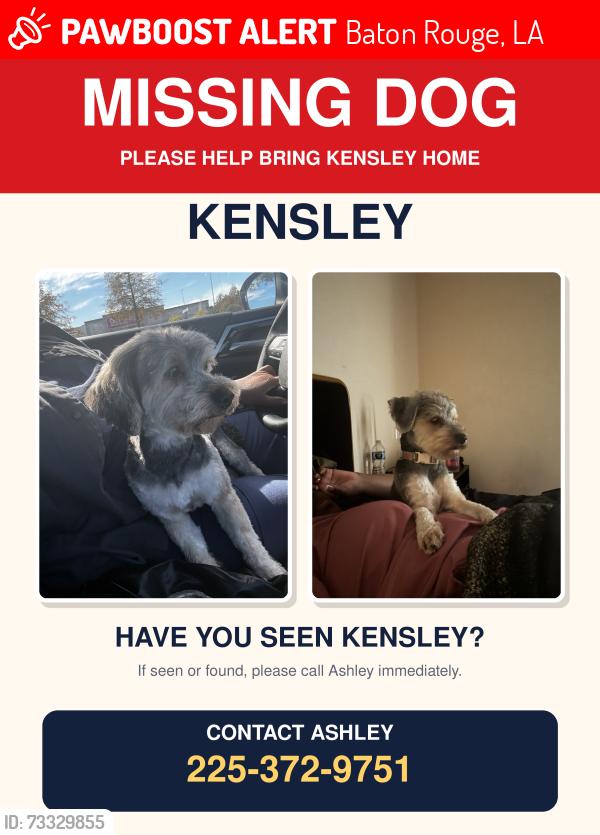 Lost Female Dog last seen E.Sheraton Ave, Baton Rouge, LA 70815
