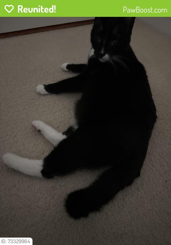 Reunited Male Cat last seen Near Crowley Drive, Vancouver, BC V5R 6G9