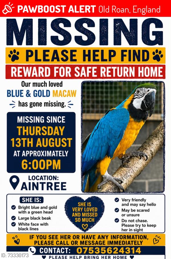 Lost Female Bird last seen Aintree Retail Park, Old Roan, England 