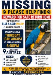Lost Female Bird last seen Aintree Retail Park, Old Roan, England 