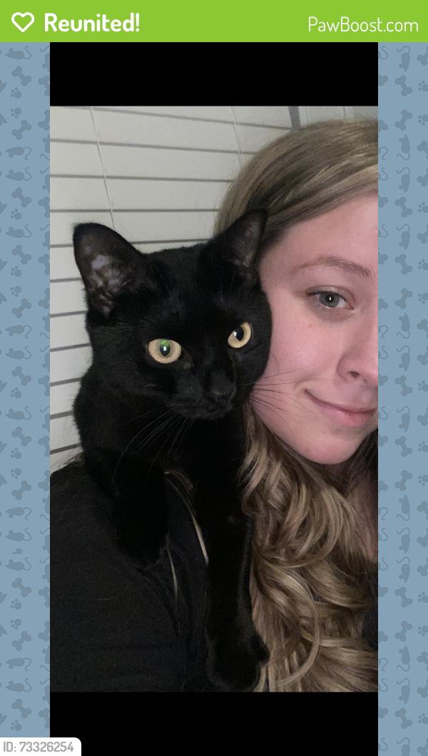 Reunited Female Cat last seen Violet Ave, Fairview, NY 12601