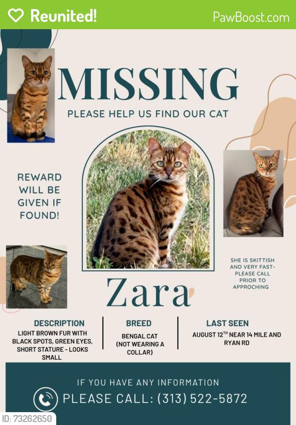 Reunited Female Cat last seen 14 mile and Ryan Rd Sterling Heights Michigan, Sterling Heights, MI 48310