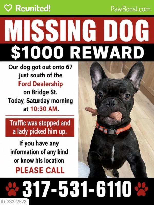 Reunited Male Dog last seen 67/Bridge Rd, Mooresville, IN 46158