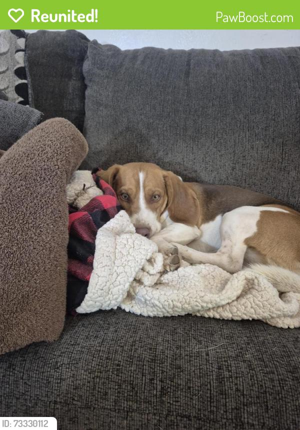 Reunited Male Dog last seen Wallace and Pennslvania, Shawnee, OK 74801