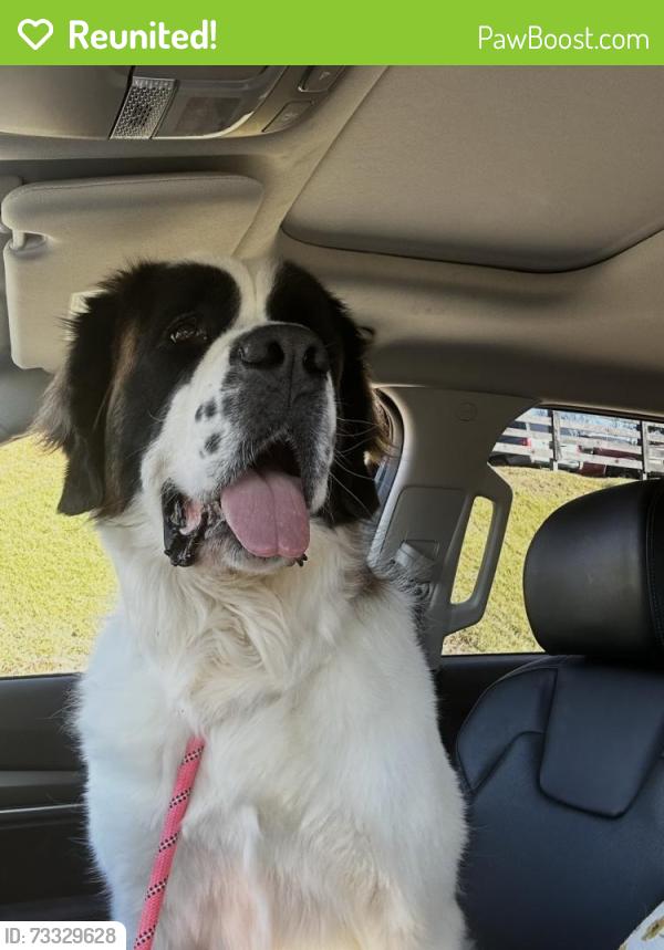 Reunited Female Dog last seen Near Southpoint Dr., Lexington, KY 40503