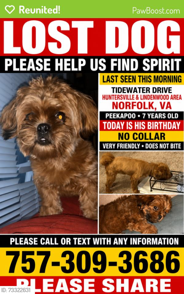 Reunited Male Dog last seen Tidewater Dr, Norfolk, VA 23504