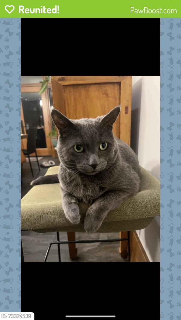 Reunited Male Cat last seen Portage avenue, Winnipeg, MB R3G 1G7