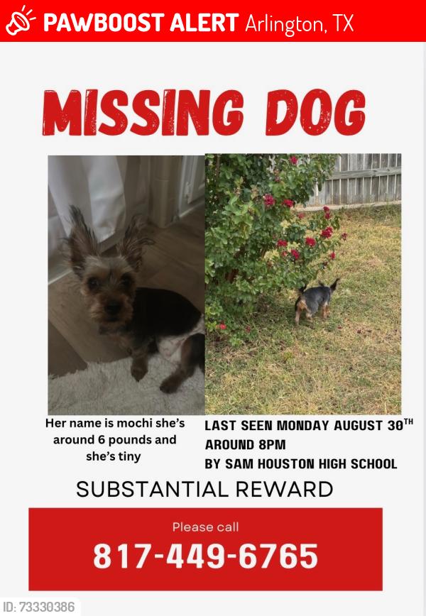 Lost Female Dog last seen sam houston high school, Arlington, TX 76014