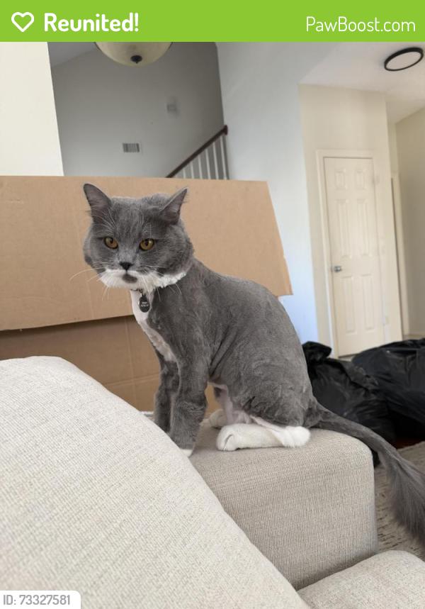 Reunited Male Cat last seen Near forest glen dr, Forest Hill, TX 76119