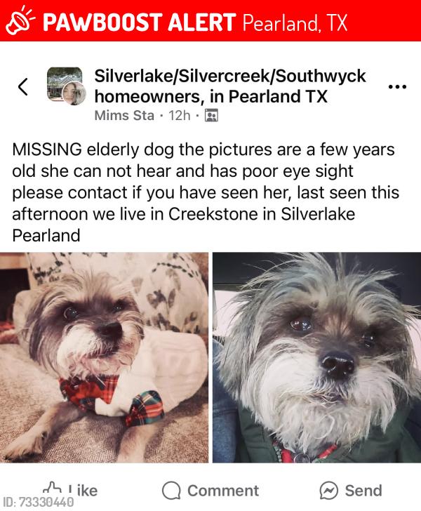 Lost Female Dog last seen Creekstone near Magnolia between Morgan & CR90, Pearland, TX 77584