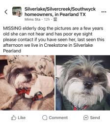 Lost Female Dog last seen Creekstone near Magnolia between Morgan & CR90, Pearland, TX 77584