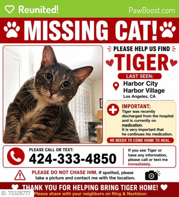 Reunited Male Cat last seen Harbor Village Dr, Los Angeles, CA 90710, USA, Los Angeles, CA 90710