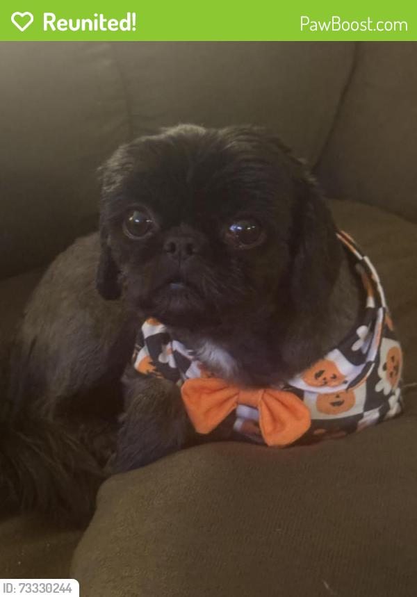 Reunited Female Dog last seen Petersburg Ct across from Fredericksburg Park, Colorado Springs, CO 80922