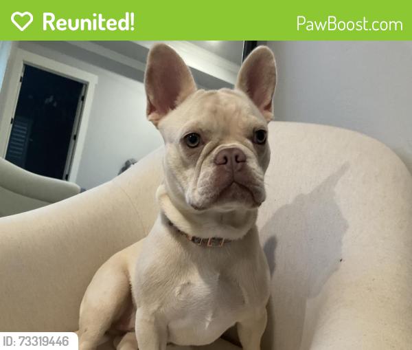 Reunited Female Dog last seen Walnut Creek neighborhood near Anderson Road, Arcadia, OK, Logan County, OK 73007