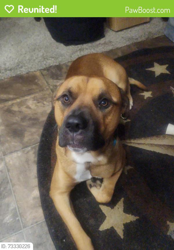 Reunited Male Dog last seen Near n pompeo ave crystal river fl34429, Crystal River, FL 34429