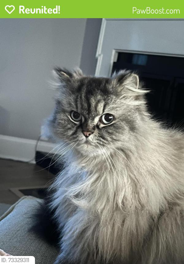 Reunited Male Cat last seen 81st and Garfield, Burr Ridge, IL 60527