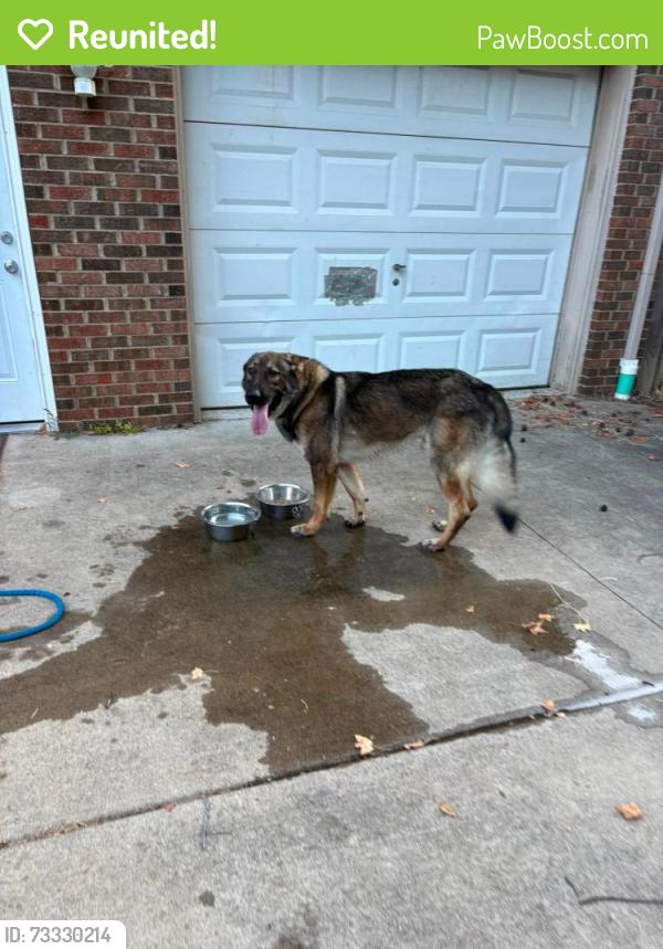 Reunited Male Dog last seen Dover Rd, Clarksville, TN 37042