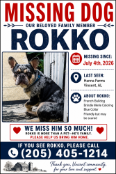 Lost Male Dog last seen Highway 231, Vincent, AL 35178