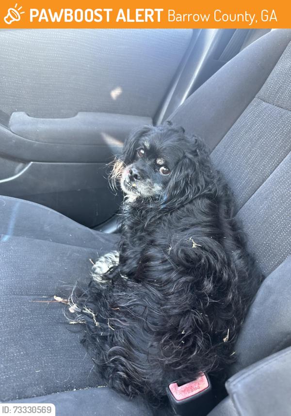 Found/Stray Male Dog last seen Appalachee, Barrow County, GA 30620