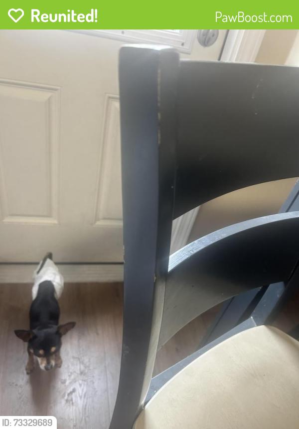 Reunited Male Dog last seen Between 1st and 5th, Santa Ana, CA 92703