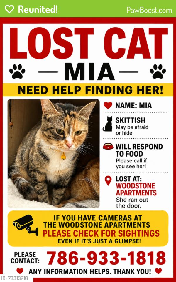 Reunited Female Cat last seen Near Hartman circle, St. Peters, MO 63304