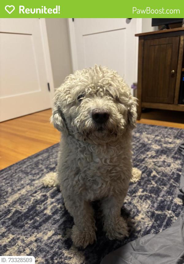 Reunited Male Dog last seen Near Encino Ave, Northridge, CA 91325, USA, Los Angeles, CA 91325