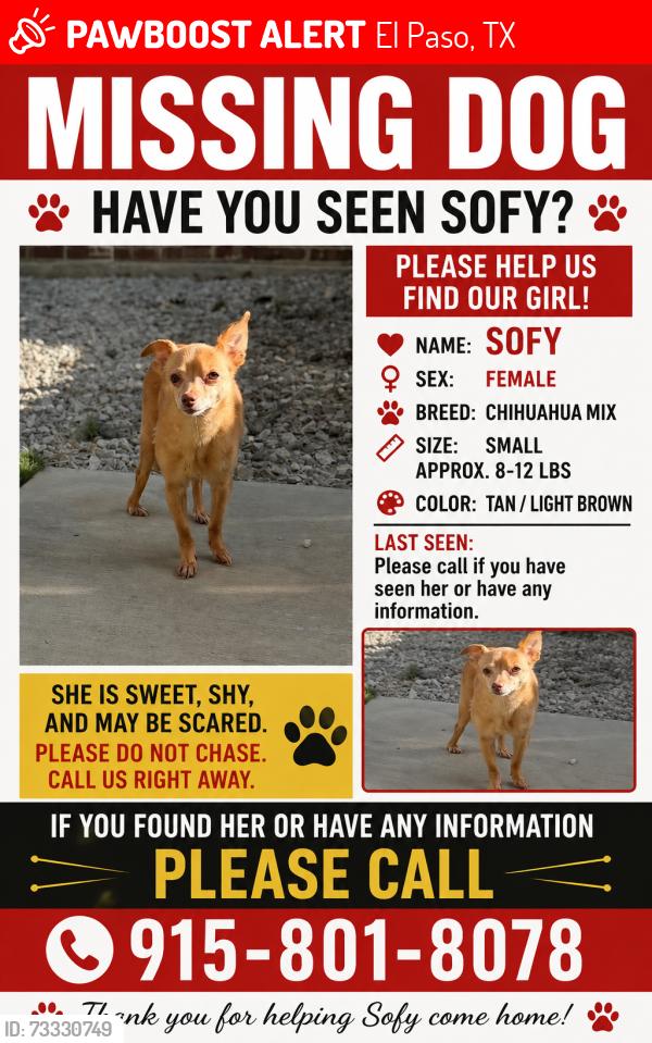 Lost Female Dog last seen Horizon/ Eastlake Area, El Paso, TX 79928