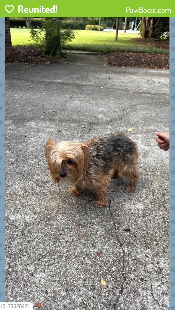 Reunited Unknown Dog last seen Near Pelham Rd, Greenville, SC 29615, USA, Greenville, SC 29615