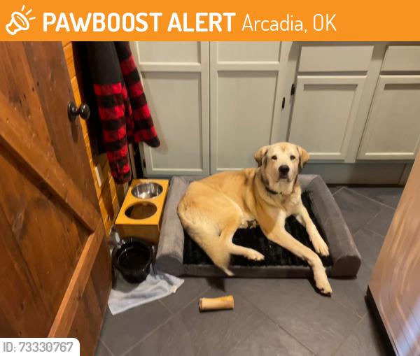 Found/Stray Male Dog last seen Waterloo/Anderson, Arcadia, OK 73007