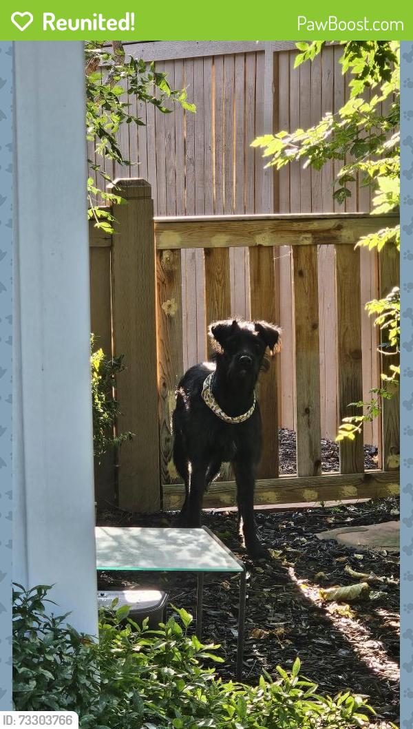 Reunited Female Dog last seen Valley View and Wander Lane, Holladay, UT 84117