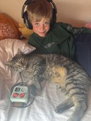 Reunited Male Cat last seen 72nd and Ward - Danny Kendrick Park West, Arvada, CO 80004