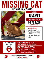 Reunited Male Cat last seen Gas station from the corner, Milwaukee, WI 53208