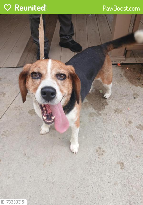 Reunited Male Dog last seen Grove city outlets, Mercer, PA 16137