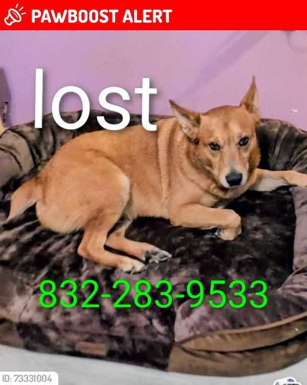 Lost Male Dog last seen Ranchcrest dr. Magnolia, Montgomery County, TX 77355