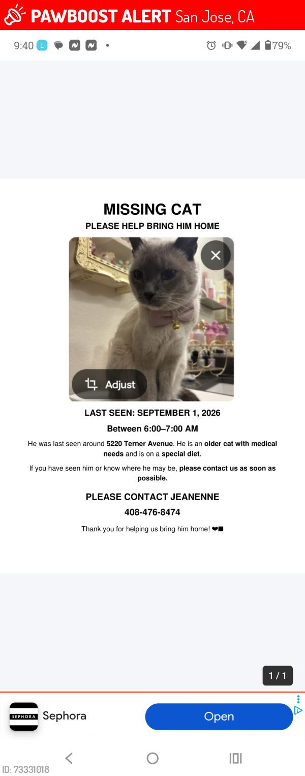 Lost Male Cat last seen Near Terner Way, San Jose, CA 95136