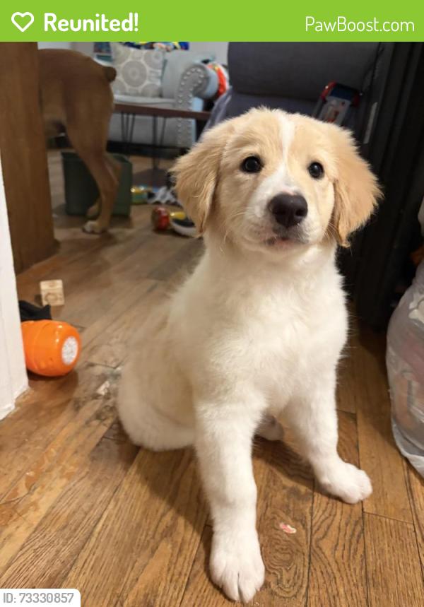 Reunited Female Dog last seen POINDEXTER/DOUGLAS, Cleburne, TX 76033