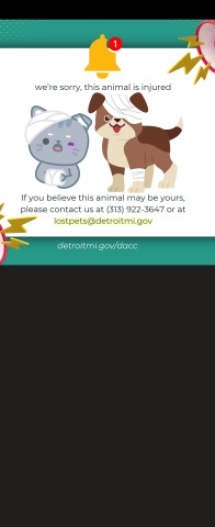 Shelter Stray Male Other last seen Near BLOCK BEDFORD ST, DETROIT, MI 48224, 7401 Chrysler Dr, Detroit, MI 48211, USA