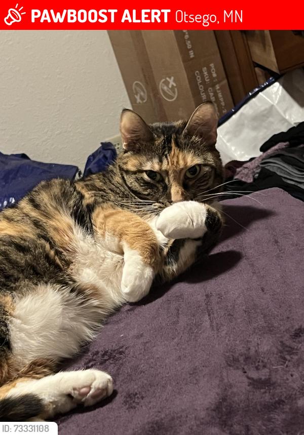 Lost Female Cat last seen Birch lane, Otsego, MN 55330