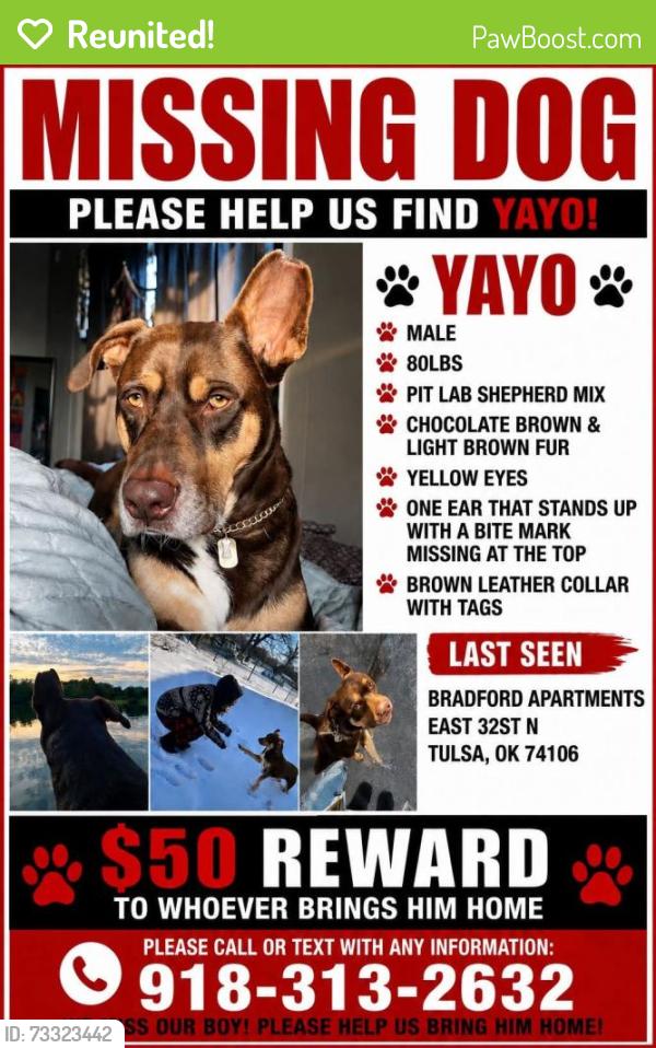 Reunited Male Dog last seen Out north at Bradford apmts, Tulsa, OK 74103